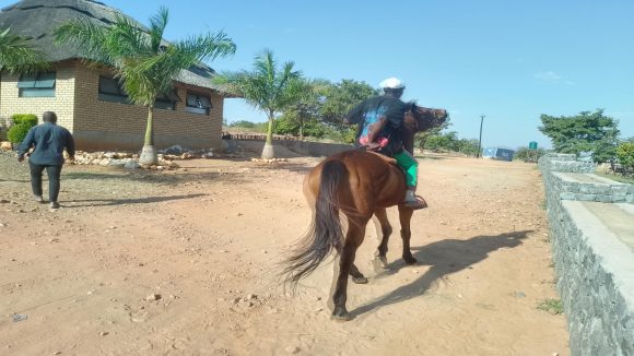 Horse Riding