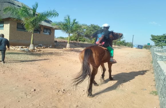 Horse Riding